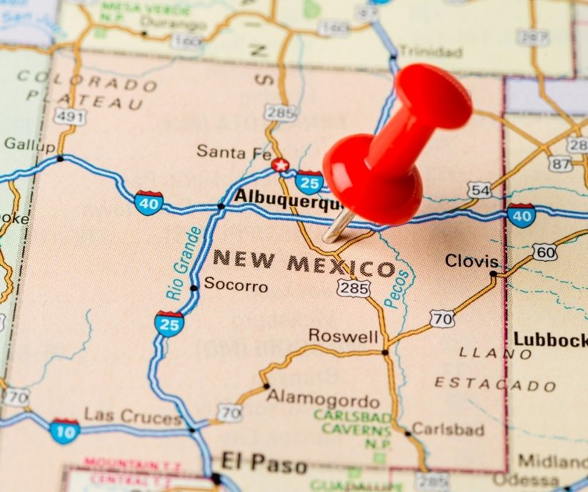 New Mexico license plate lookup